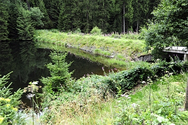 Unterer Grumbacher Teich Oberharzer Wasserwirtschaft 350 Bilder